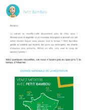 e-mailing - Marketing relationnel - Evénement - Newsletter - Petit BamBou - 03/2020