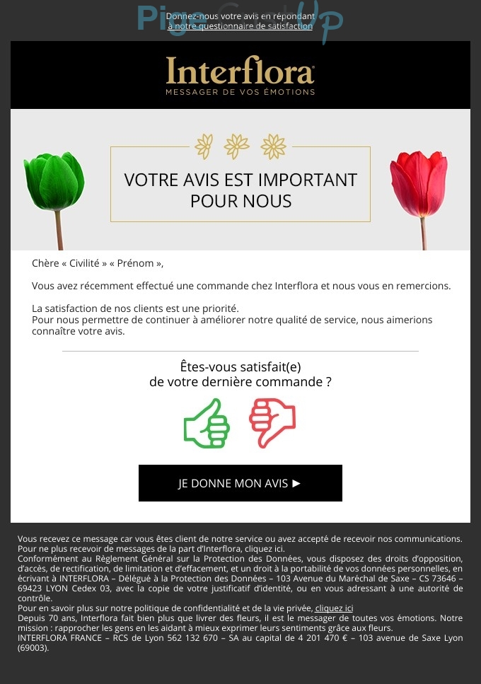 Exemple de Type de media  e-mailing - Interflora - Enquêtes Clients - Consultation client - NPS / Avis clients