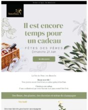  - Marketing relationnel - Calendaire (Noël, St valentin, Vœux, …) - Marketing marque - Communication Produits - Nouveaux produits - Communication Services - Nouveaux Services - Marketing fidélisation - Incitation au réachat - Interflora - 06/2024