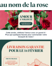 e-mailing - Marketing relationnel - Calendaire (Noël, St valentin, Vœux, …) - Marketing Acquisition - Derniers jours - Au nom de la rose - 02/2022