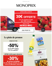 e-mailing - Marketing Acquisition - Ventes flash, soldes, demarque, promo, réduction - Marketing relationnel - Newsletter - Monoprix - 04/2022