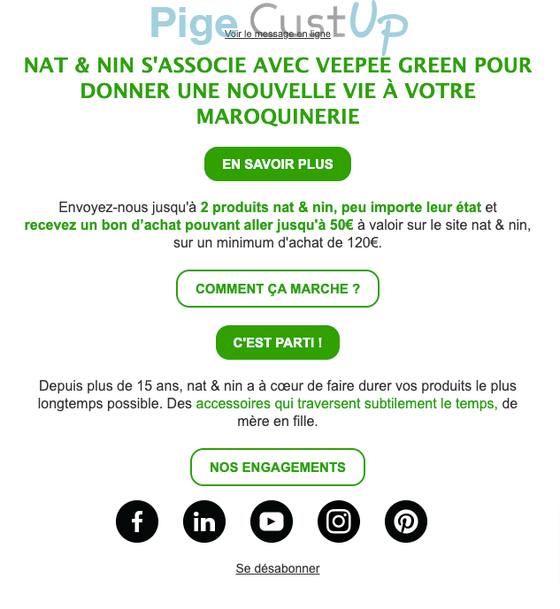 Exemple de Type de media  e-mailing - Nat & Nin - Marketing relationnel - Newsletter