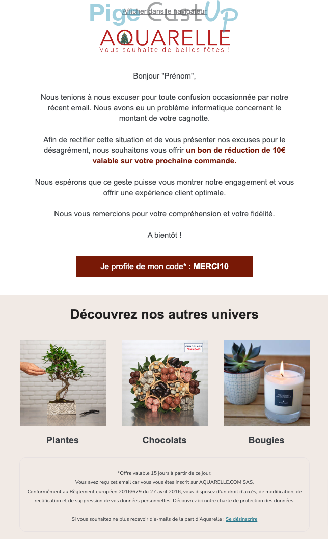 Exemple de Type de media  e-mailing - Aquarelle - Erratum & Oups