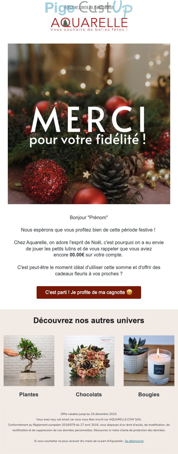 Exemple de Type de media  e-mailing - Aquarelle - Marketing relationnel - Calendaire (Noël, St valentin, Vœux, …) - Marketing fidélisation - Incitation au réachat - Points et statut