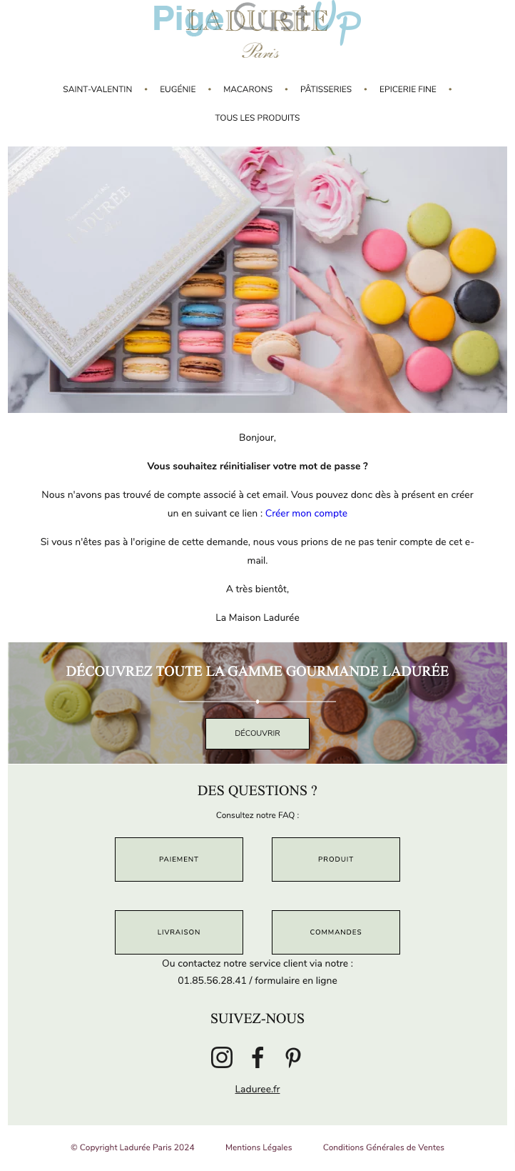 Exemple de Type de media  e-mailing - Ladurée - Transactionnels - Changement de mot de passe / d'identifiant