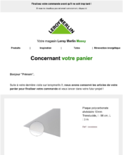 e-mailing - Jardinerie Animalerie Bricolage - Leroy Merlin - B2C - Marketing Acquisition - Panier abandonné - 09/2022