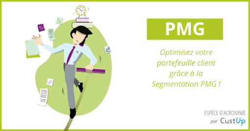 Segmentation PMG - Petits, Moyens et Gros Clients